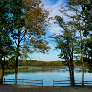 Staunton River State Park, Virginia