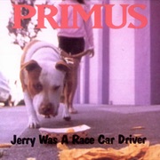 Primus - Jerry Was a Racecar Driver (Les Claypool)