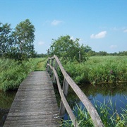 Alde Feanen National Park, Netherlands