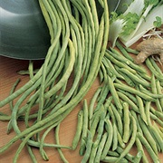 Asparagus Bean / Yardlong Bean