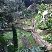 Zoo De Guadeloupe
