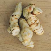 Galangal