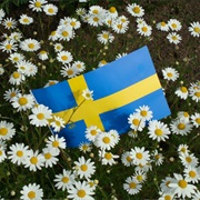 Sweden&#39;s National Day