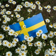 Sweden's National Day