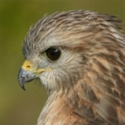 Matlacha Pass National Wildlife Refuge