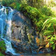 Yarra Ranges National Park (VIC)