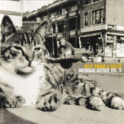 Billy Bragg and Wilco - Mermaid Avenue Vol. II