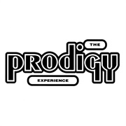 (1992) the Prodigy - Experience