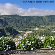 Furnas, São Miguel Island, Azores