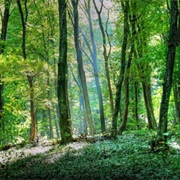 Fruska Gora National Park, Serbia
