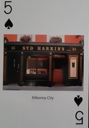 Syd Harkins (Kilkenny City)