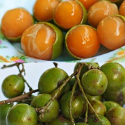 Genip
