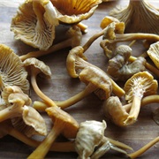 Yellowfoot (Craterellus Tubaeformis)
