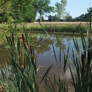 Route 66 State Park, Missouri