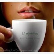 Darjeeling Tea