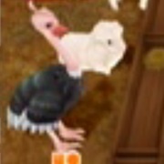 Ostrich (Harvest Moon)