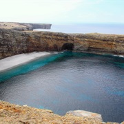 Joggins Fossil Cliffs (NS)