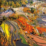Honghe Hani Rice Terraces, China