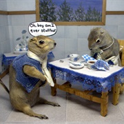 Gopher Hole Museum, Torrington, Alberta