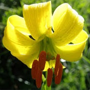 Belasitsa NP / Petritsio Dimou Petritsiou, BUL/GK