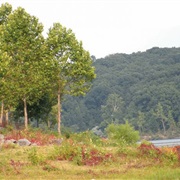 Lake Wappapello State Park, Missouri