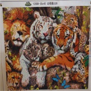 Find a Hobby That Makes You Happy.