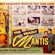 804 - The Deadly Mantis