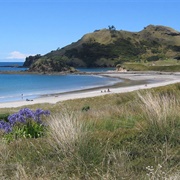 Medlands Beach - Great Barrier