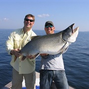 Fishing Saskatchewan Lakes