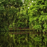 Karolina Południowa