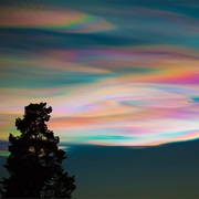 Polar Stratospheric Clouds