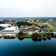 Benoni