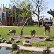 Diergaarde Blijdorp, Rotterdam, Netherlands