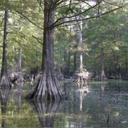 Little River National Wildlife Refuge