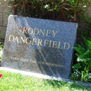 Rodney Dangerfield "There Goes the Neighborhood"