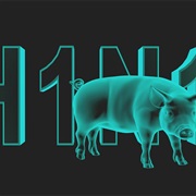 H1N1