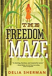 The Freedom Maze (Delia Sherman)