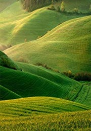 Always Greener (2001)