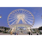 Niagara Skywheel