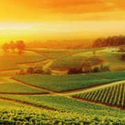 Hunter Valley Wineries