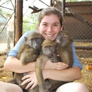 Volunteer With an Animal Conservation Project