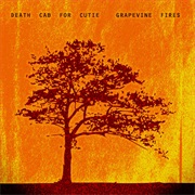 Death Cab for Cutie, "Grapevine Fires"