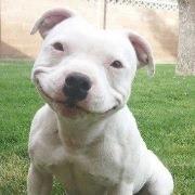 But Really, I Keep a List of Reasons I Don't Like You as a Person