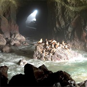 Oregon Sea Lion Caves -- Largest Sea Cave in the US