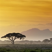 Maasai Mara National Reserve, Tanzania