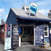The Sea Turtle Centre, Halifax, Nova Scotia