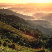 El Yunque National Forest, Puerto Rico