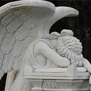 Lose Someone to Suicide