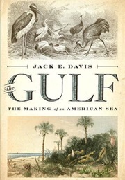 The Gulf: The Making of an American Sea (Jack E. Davis)