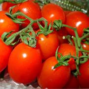 Roma Tomatoes
